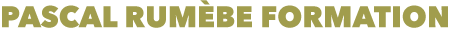 Pascal Rumèbe Formation